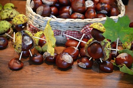 Brown chestnuts in a basket in the fall figure knightの写真素材