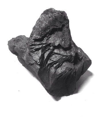 Lumpwood Namibian Charcoalの素材