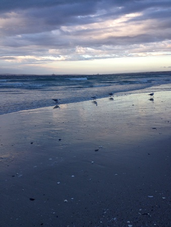 Stormy sunsetの素材