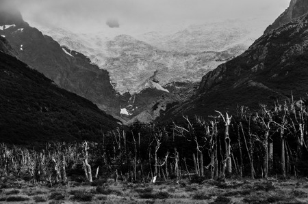 Landscape near El Chalten, close to Mount Fitzroy, Patagonia.の写真素材