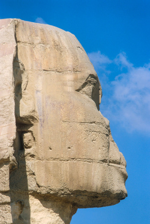 Profile shot of the Famous Sfinx in Cairo, Egypt.の写真素材