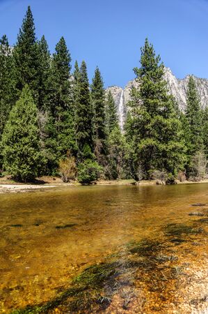 View along the merced river in Yosemite national parkの写真素材