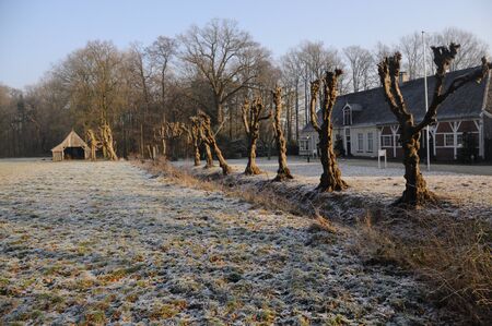 Winter scenery in the Dutch province of Overijsselの写真素材