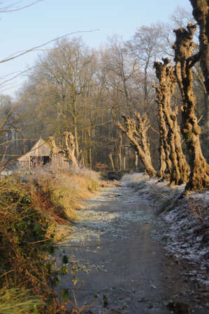 Winter sceneryの写真素材