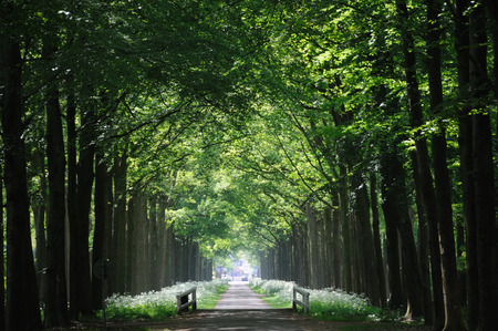 Lawn of an old castle in the area of Twente, the Netherlandsの写真素材