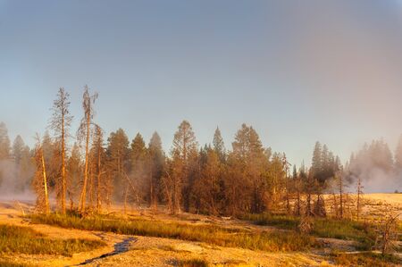 A sunrise in the West Thumb Area in Yellowstone National Parkの写真素材