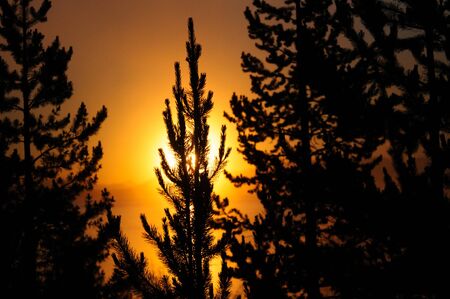 A sunrise in the West Thumb Area in Yellowstone National Parkの写真素材