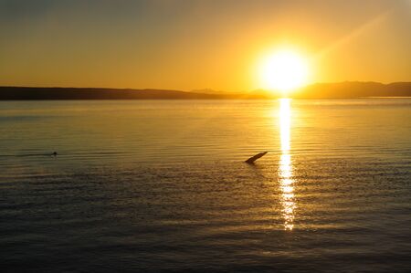 A sunrise in the West Thumb Area in Yellowstone National Parkの写真素材