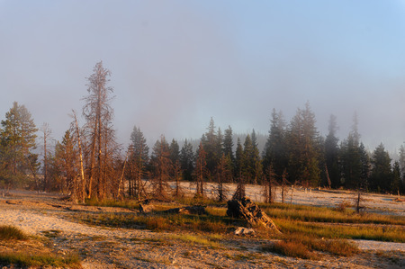 A sunrise in the West Thumb Area in Yellowstone National Parkの写真素材
