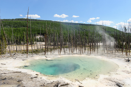 Crytal Clear water in a pool in the Norris Geyser Basin in Yellowstone National Parkの写真素材
