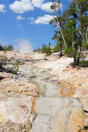 A steaming geyser in the Norris Geyser Basin in Yellowstone National Parkの写真素材