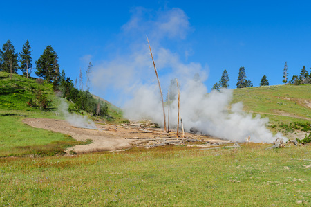 An American Bison standing in the smoke of a Geyser near mud Volcano in Yellowstone National Parkの写真素材