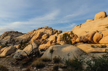 The Barker Dam Area in Joshua Tree during the golden Hour. This area hosts a small lake, which contains an abundance of wildlife.の写真素材