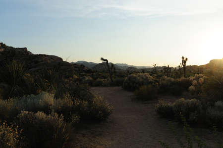 The Barker Dam Area in Joshua Tree during the golden Hour. This area hosts a small lake, which contains an abundance of wildlife.の写真素材