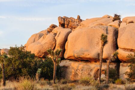 The Barker Dam Area in Joshua Tree during the golden Hour. This area hosts a small lake, which contains an abundance of wildlife.の写真素材