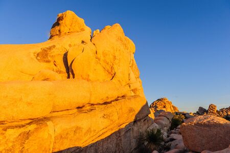 Sunrise over the Hidden Valley Campground area in Joshua Tree National Parkの写真素材