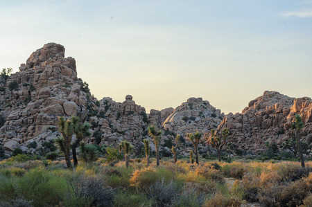 Hidden Valley, in Joshua Tree National Park, during golden hour just before sunset.の写真素材