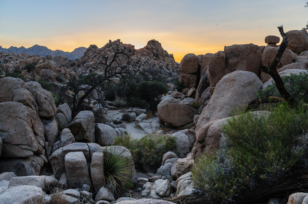 Hidden Valley, in Joshua Tree National Park, during golden hour just before sunset.の写真素材