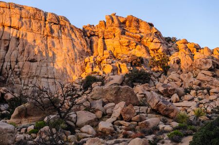 Hidden Valley, in Joshua Tree National Park, during golden hour just before sunset.の写真素材