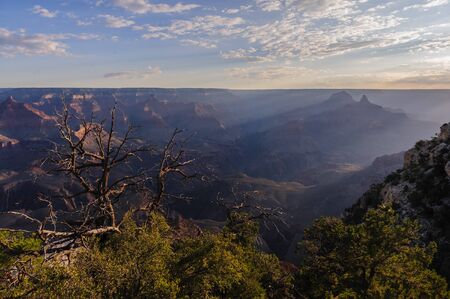 Sunrise over the Grand Canyon, on an early August Morning. The rising sun is casting long dramatic shadows over the Red Rocks of the Canyon. Grand Canyon National Park, Arizona, USA.の写真素材