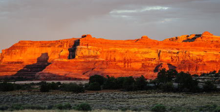 Sunset casting a red glow on the rocks of the Needles area in Canyonlands National Park, Utah.