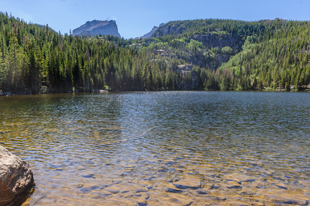 Water lillies in Nymph lake on a summer's afternoon in Rocky Mountain National Park, Colorado.の写真素材