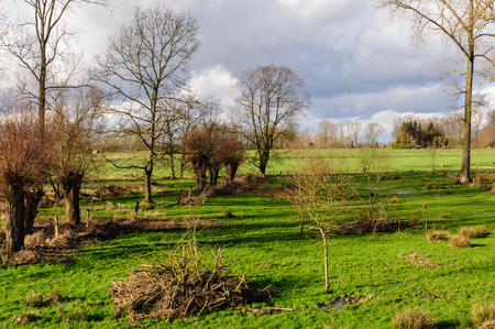 Tree-lined landscape on a sunny winter afternoon in the country side of East-Flanders, Belgiumの写真素材