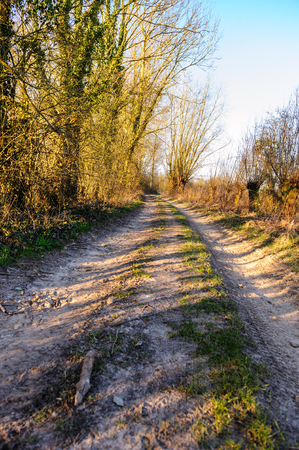 A small Country road in the Flemish Country side in Belgium on a clear winter evening.の写真素材