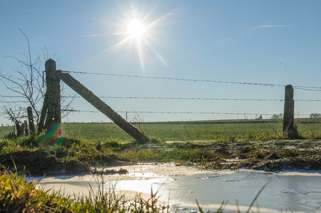A thin layer of frost covers the country side in east-flanders. Late morning, on a winter afternoon.の写真素材
