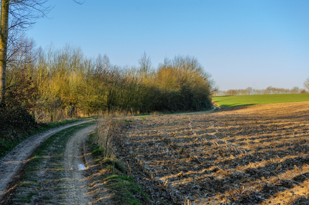A small Country road in the Flemish Country side in Belgium on a clear winter evening.の写真素材