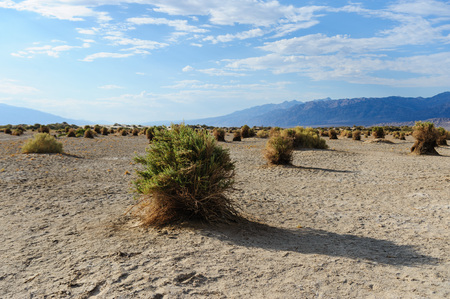 The Arid Valley Floor of Death Valley, near Stovepipe Wells. Image from an early August Summers Afternoon. Death Valley National Park, California.の写真素材