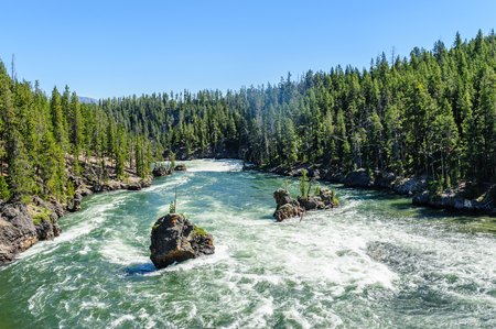 The Yellowstone river, upstream from the upper Falls. Yellowstone National Park.の写真素材