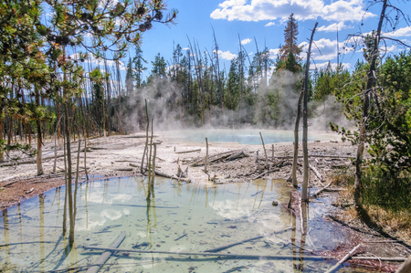 Steamin coming off a geyser in the Norris Geyser Basin in Yellowstone National Parkの写真素材