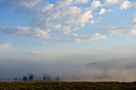 Steam from the active geysers in the Hayden Valley Area cover the ground on an early morning sunrise. Yellowstone National Park in Summerの写真素材
