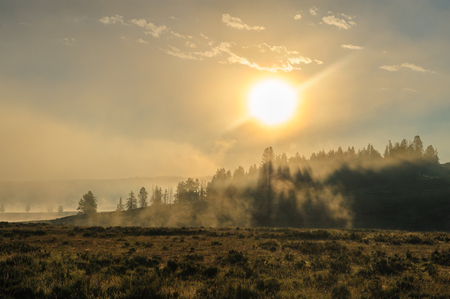 Backlit image of a Bison in the Hayden Valley area of Yellowstone National Parkの写真素材