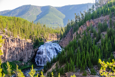 Overview of the Gibbon Falls, along the grand loop, in Yellowstone National Parkの写真素材