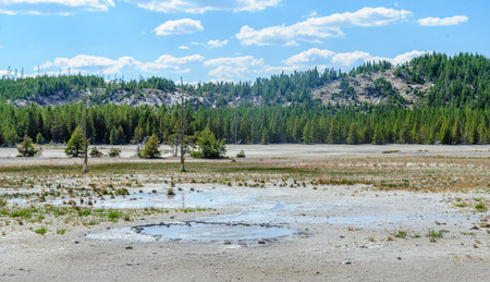 An overview of teh Norris Geyser Basin in Yellowstone National Parkの写真素材