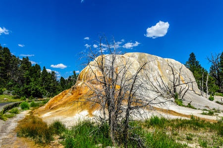 Orange Spring Mound in Mammoth Hot Springs, Yellowstone National Parkの写真素材