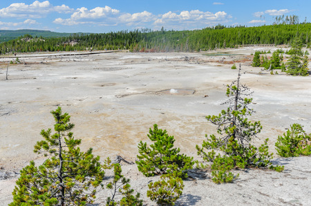 An overview of teh Norris Geyser Basin in Yellowstone National Parkの写真素材