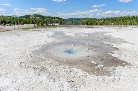 An overview of teh Norris Geyser Basin in Yellowstone National Parkの写真素材