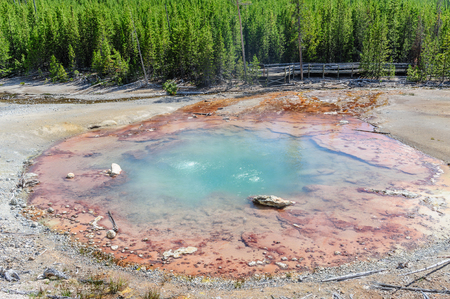 Steamin coming off a geyser in the Norris Geyser Basin in Yellowstone National Parkの写真素材
