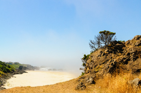 A mist covered beach, near Seal Rock, mid July in Oregon.の写真素材