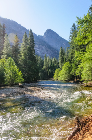 The Merced river on a sunny summers afternoon, flowing through Yosemite Valley. Yosemite National Park, California.の写真素材