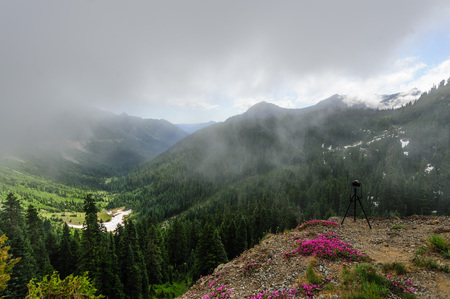 Mount Rainier peaking through the clouds and the surrounding forest.の写真素材