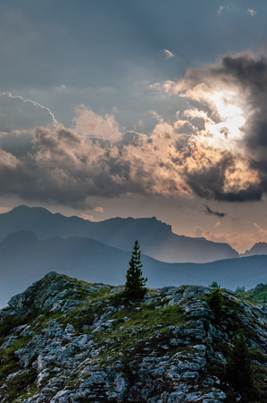 Tree growing on a rock. Scene from a a sunset at the Italian Giao Pass in the Dolomites.の写真素材
