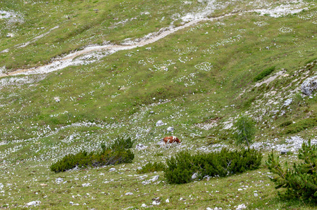 Rugged Mountain Ranges in Tre Cima Natural Park Area in the Italian Dolomites.の写真素材
