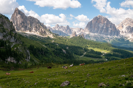 Mountain scene of the Italian Dolomites, near the Giau Pass, on a Summer Afternoon.の写真素材