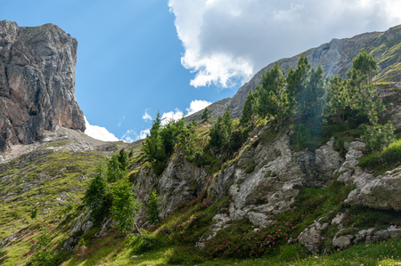 Mountain scene of the Italian Dolomites, near the Giau Pass, on a Summer Afternoon.の写真素材