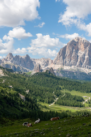 Mountain scene of the Italian Dolomites, near the Giau Pass, on a Summer Afternoon.の写真素材