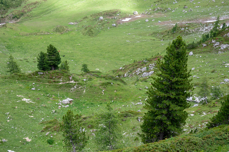 Mountain scene of the Italian Dolomites, near the Giau Pass, on a Summer Afternoon.の写真素材